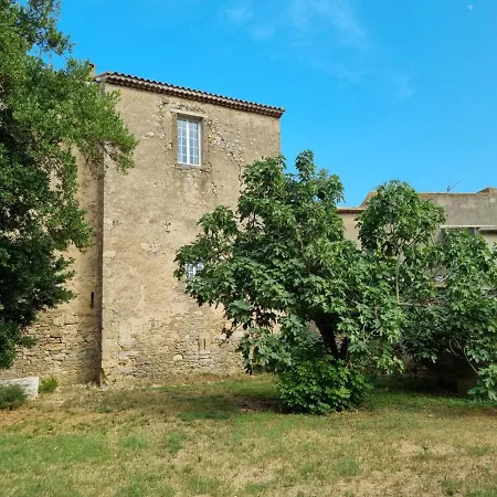 Partie De Chateau Du Xi Ieme A D'aude Villa *