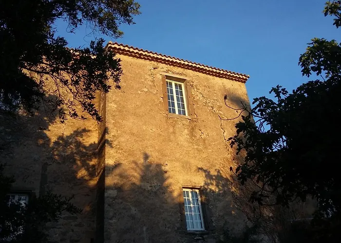ヴィラ Partie De Chateau Du Xi Ieme A D'aude *