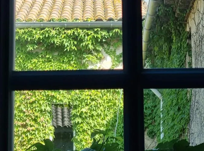 ヴィラ Partie De Chateau Du Xi Ieme A D'aude *