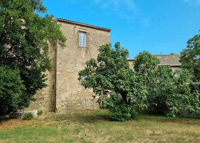 Partie De Chateau Du Xi Ieme A D'aude ヴィラ *